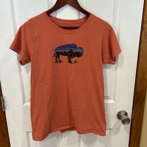 Patagonia Graphic Tee Size Medium Buffalo Logo